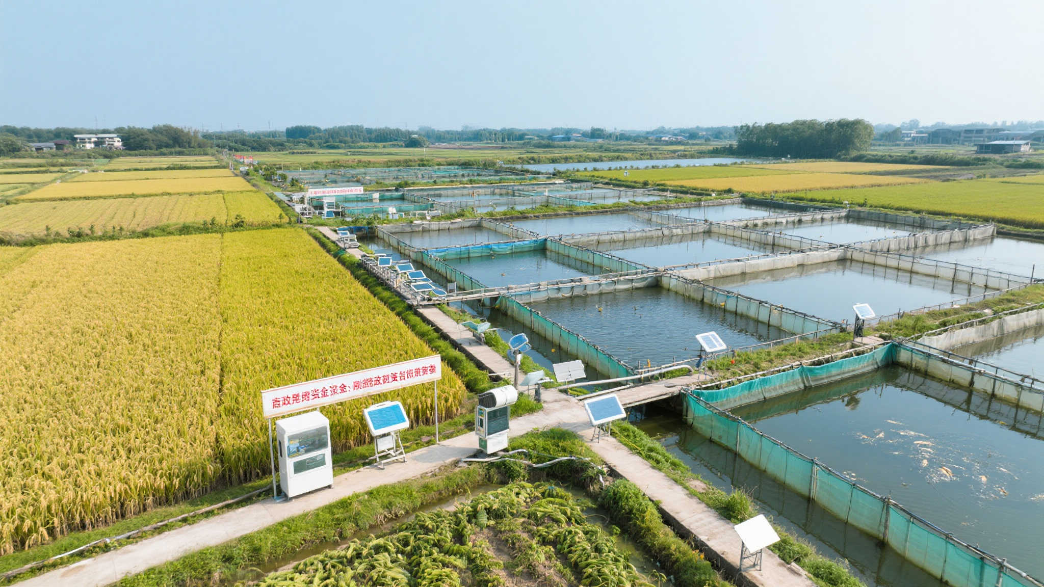 具体来说，在这一过程中，当地政府借助资金